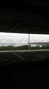 barbed wire