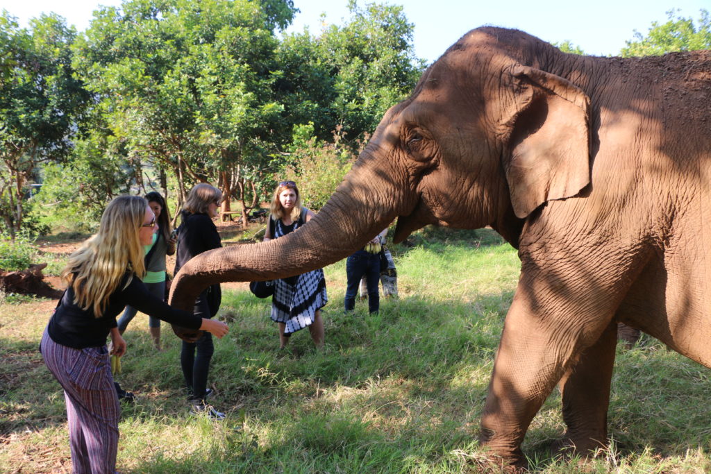 Elephant Nature Park in Thailand is an ethical destination for sustainable travelers