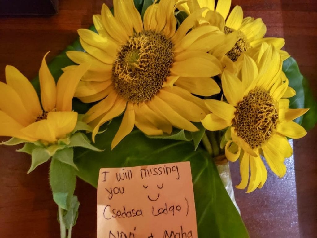Sunflowers in Canggu, a gift from the Sedasa Lodge staff