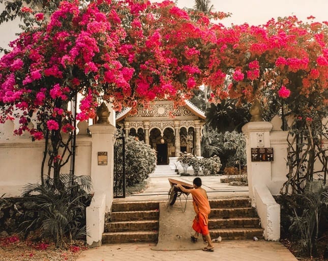  A monk apprentice in Luang Prabang