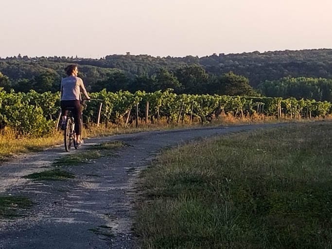 A bike ride through the Loire Valley Vineyards