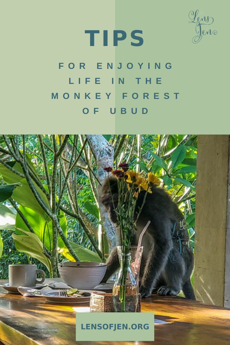 Hotel Near the Ubud Monkey Forest