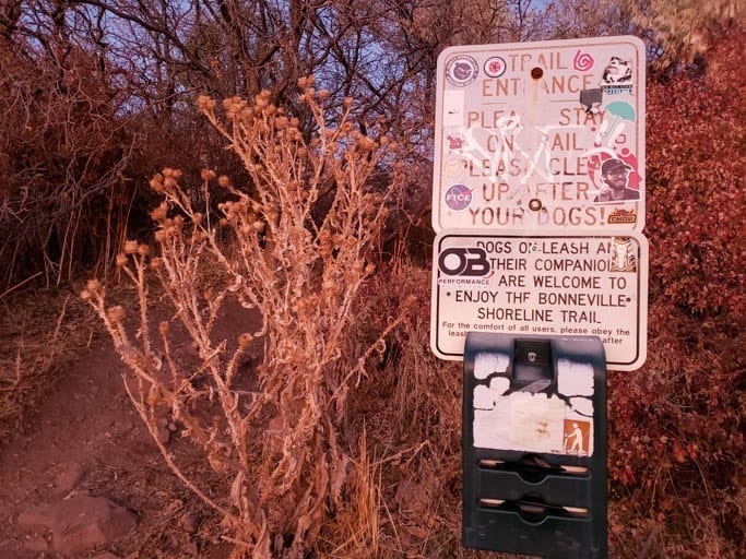 All Trails Living Room Trailhead Salt Lake