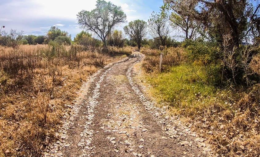 Anza Trail between Tumacácori and Tubac Presidio State Park in Arizona