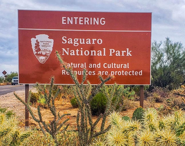 Saguaro National Park is an outdoor thing to do in Tucson.