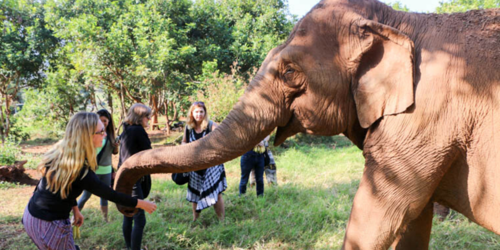 An overnight tour at an elephant sanctuary allowed me to travel deeper in Thailand.