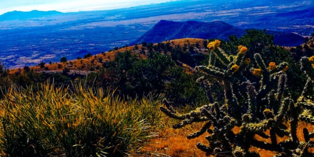 Coronado National Memorial