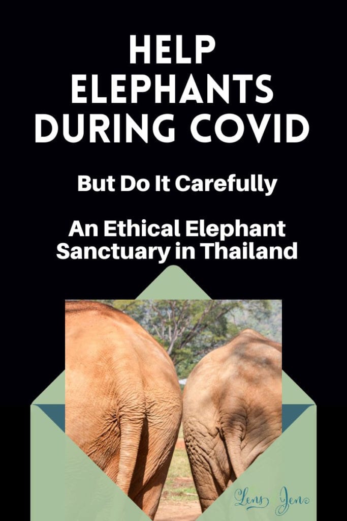 How to Help Elephants & Visit Elephants ETHICALLY