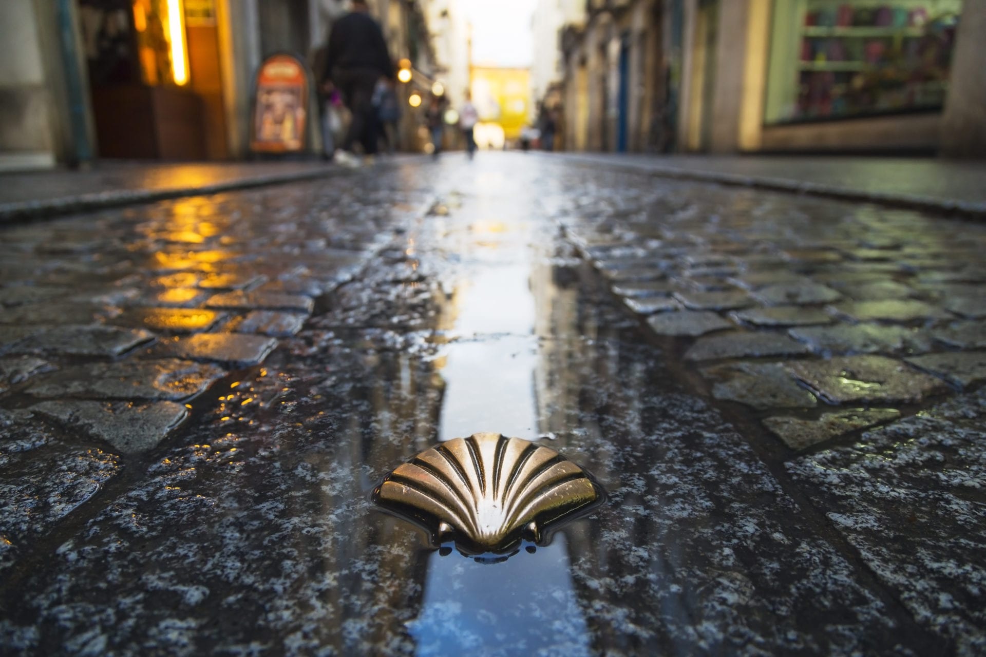 shell on the camino de santiago