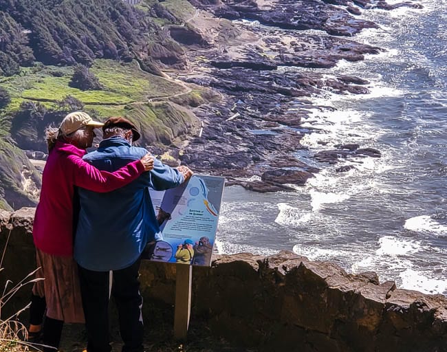 A couple at the top of Cape Perpetua