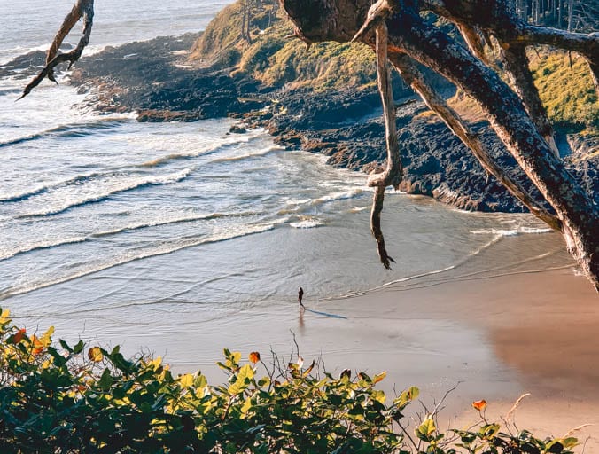 Cape Cove at Cape Perpetua