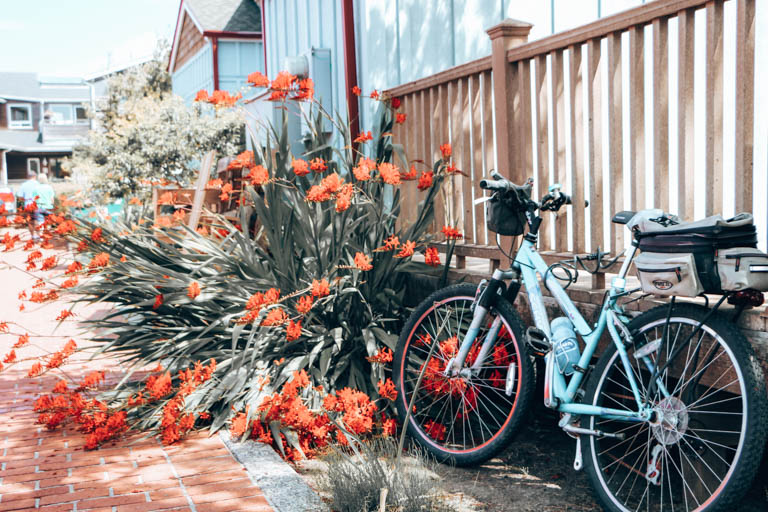 beach cruiser in cannon beach, a must-stop on any Oregon Coast road trip