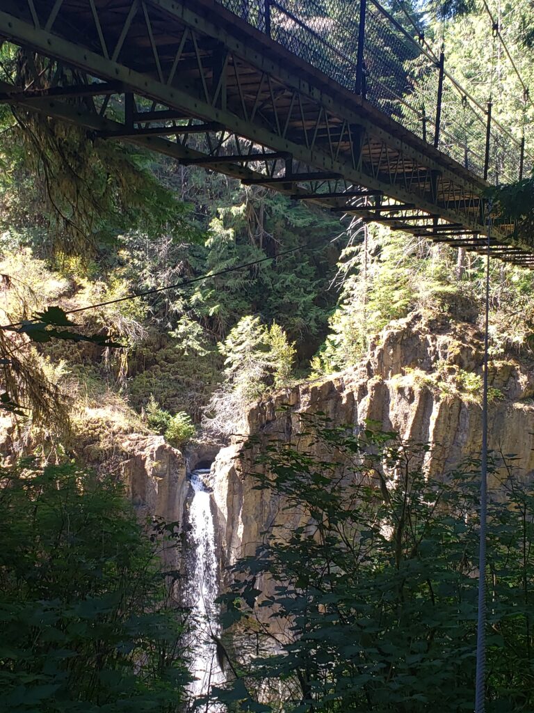 Drift Creek Falls Trail on the Oregon Coast