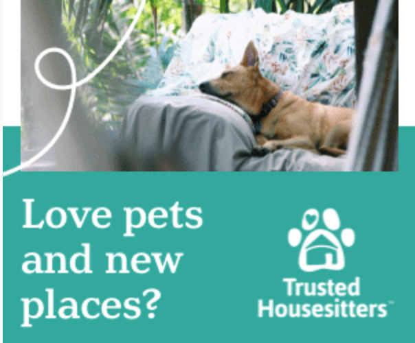 TrustedHousesitters is a great sustainable valentine's day gift for the travel lover
