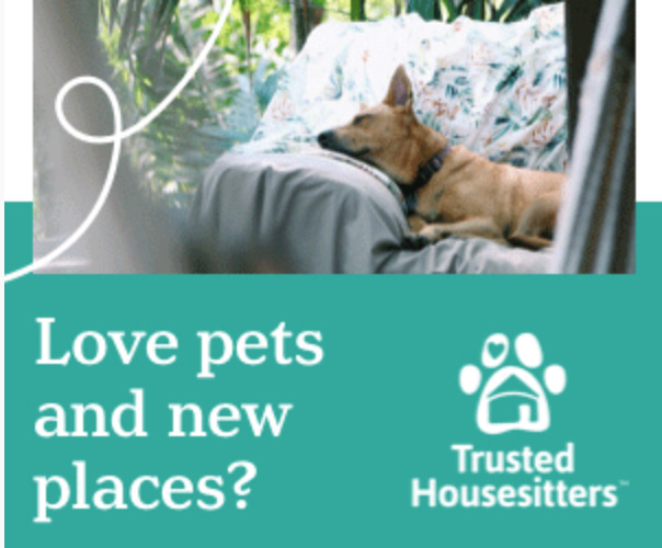 TrustedHousesitters Advert USE