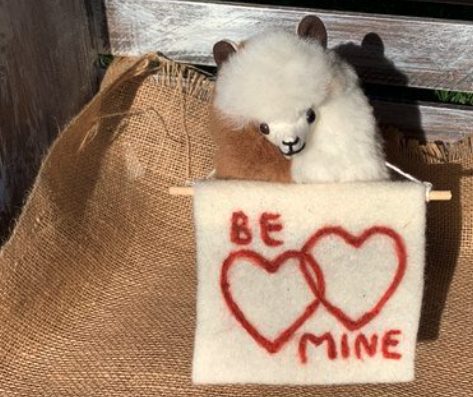 cuteness overload with this stuffed alpaca Valentine made on a sustainable alpaca farm. Makes a cute sustainable valentine's day gift