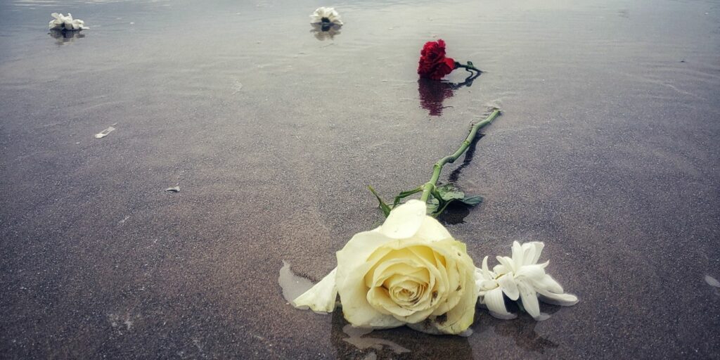 Roses and ashes in the ocean. A way to honor your loved on the diagnosis day anniversary