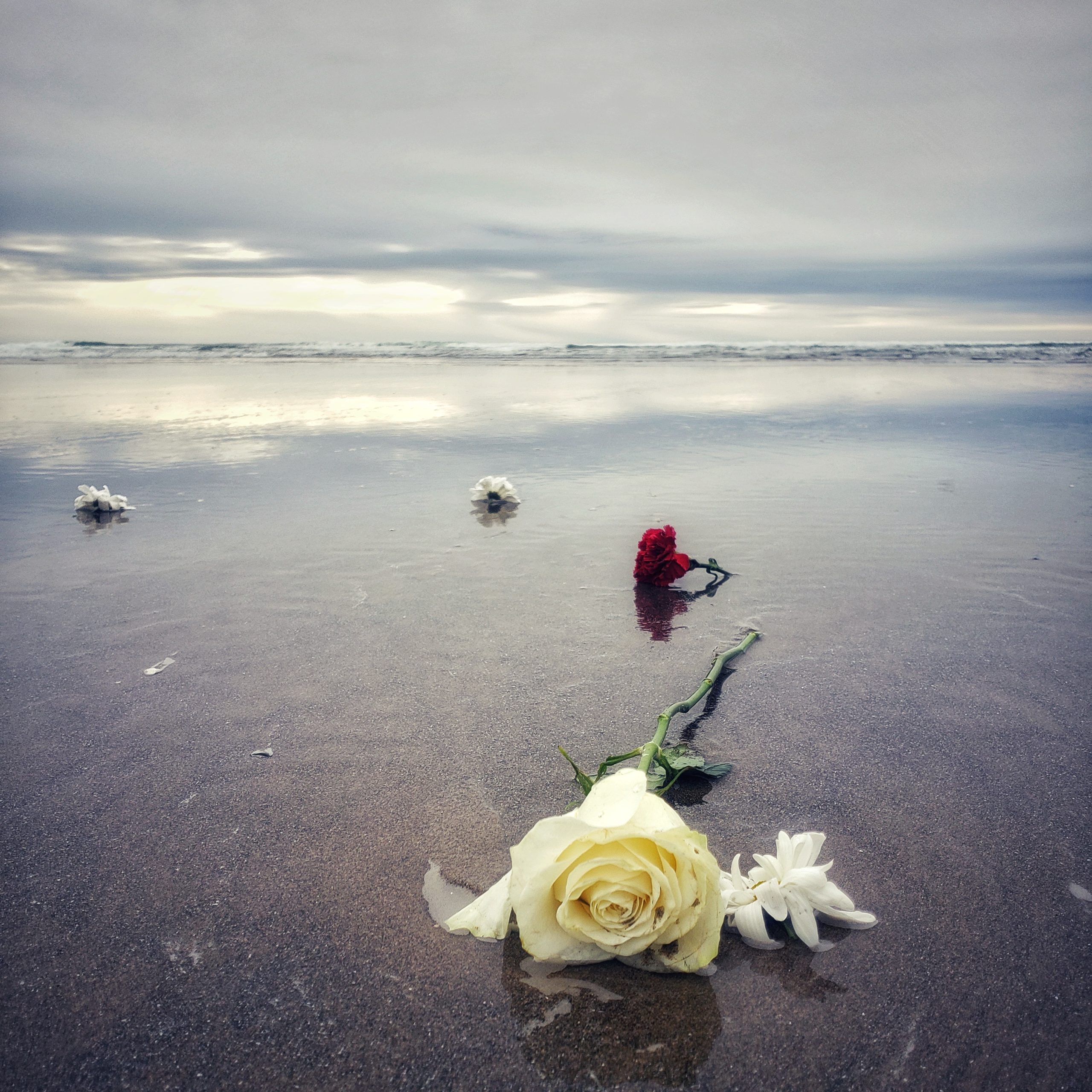 Diagnosis Day: What to Do on a Grief Anniversary