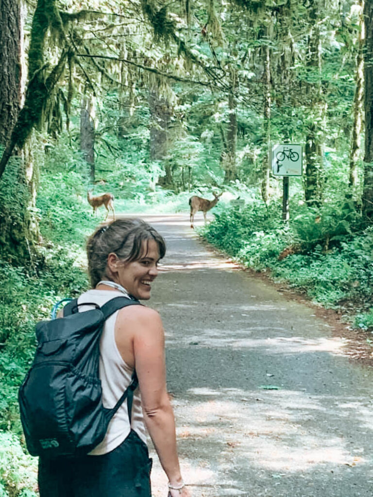 Deer at Silver Falls State Park