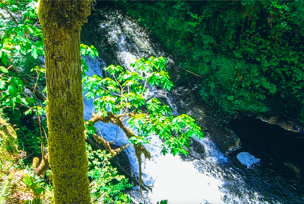 Drake Falls waterfall number five on the trail of ten falls