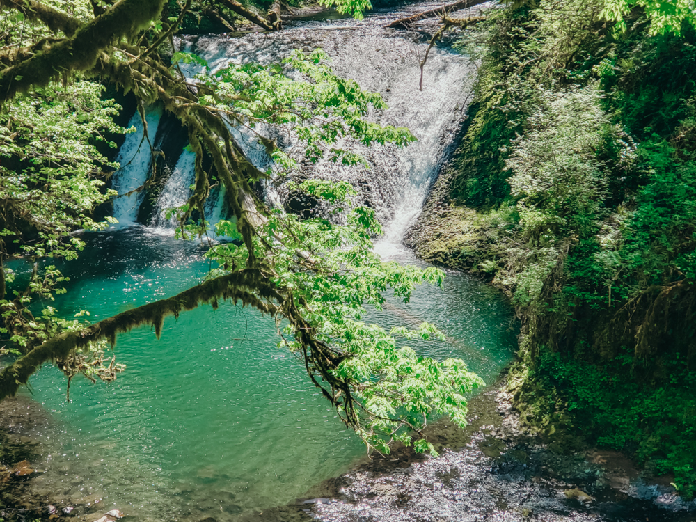 Lower North Falls on the Trail of Ten Falls