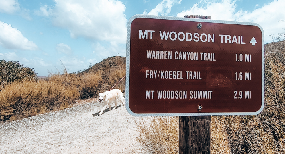 dogs are allowed on the mt woodson hike