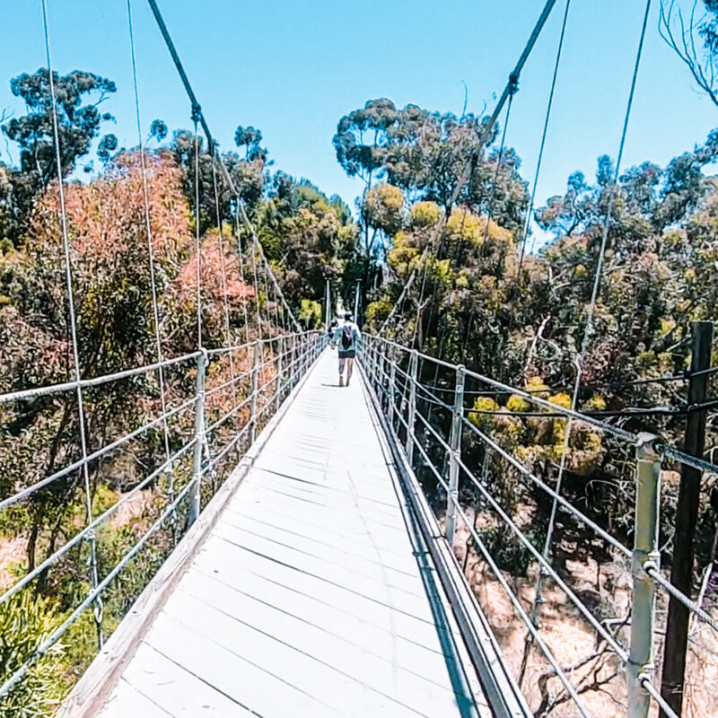The 7 Bridges Walk in San Diego • The Lens of Jen