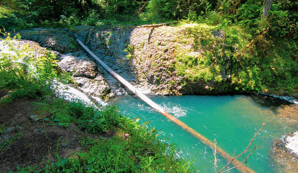 Twin Falls: Waterfall Number Eight on the Trail of Ten Falls