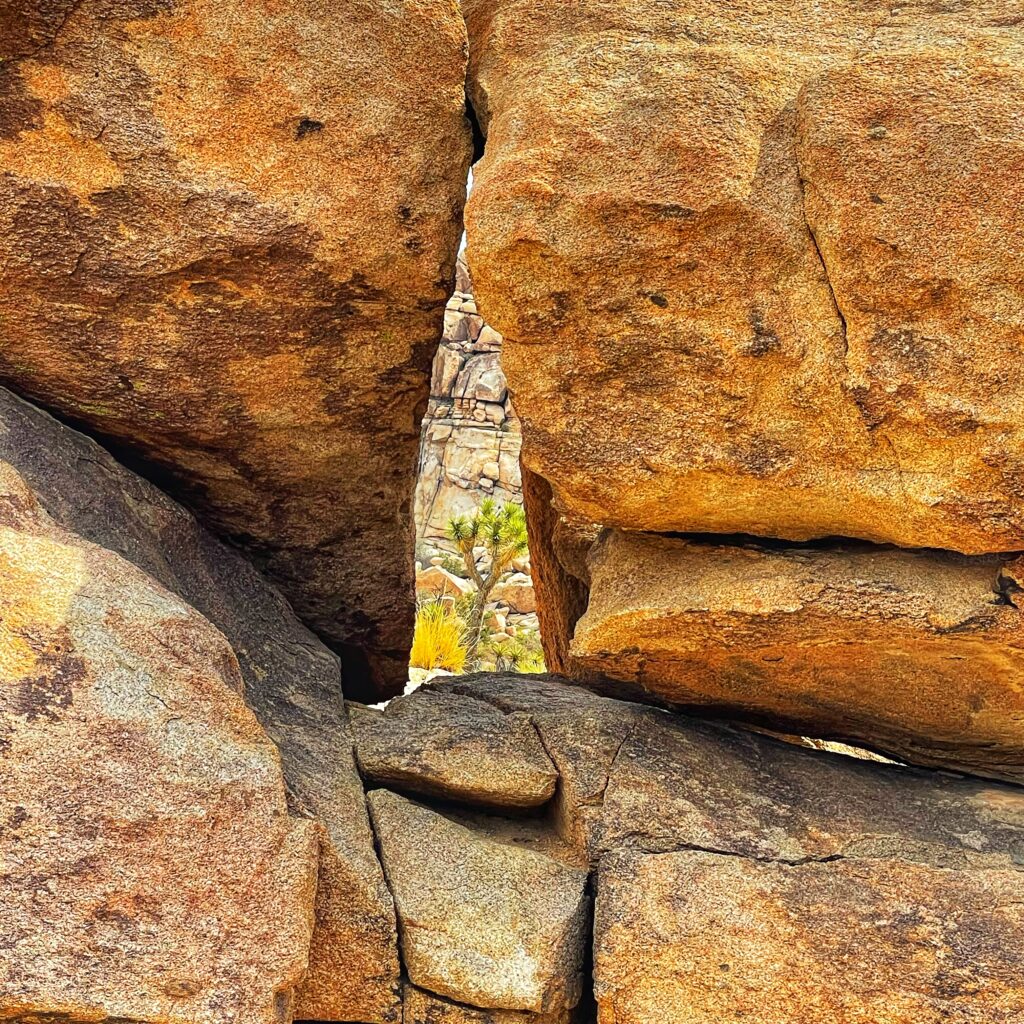 Hidden Valley Trail in Joshua Tree