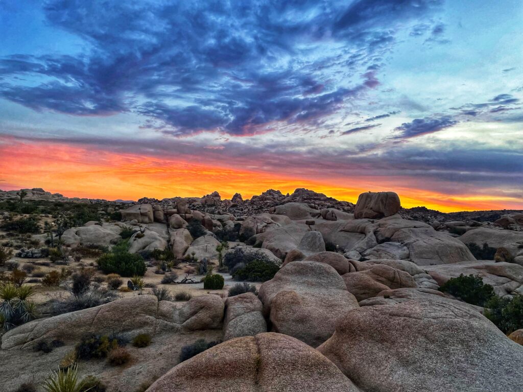 Rocks near the Jumbo Rocks Campground in Joshua Tree National Park