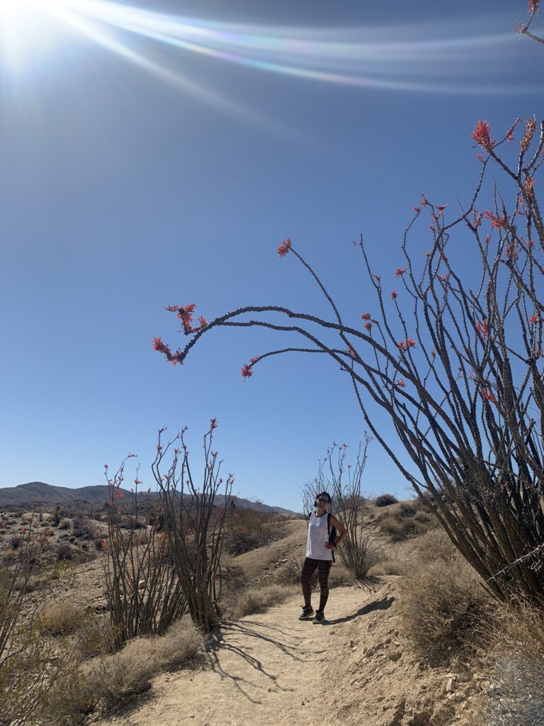 Ryan Mountain Trail 