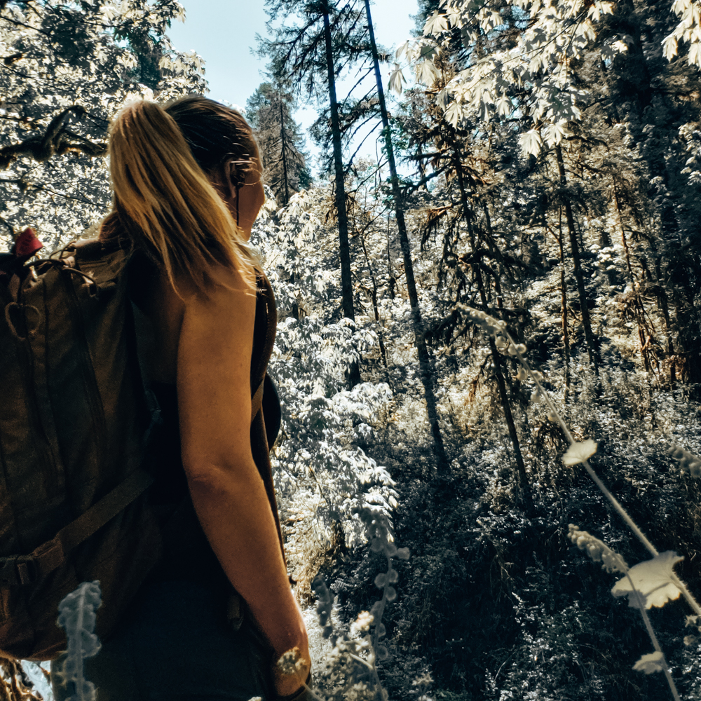 hiking the trail of ten falls