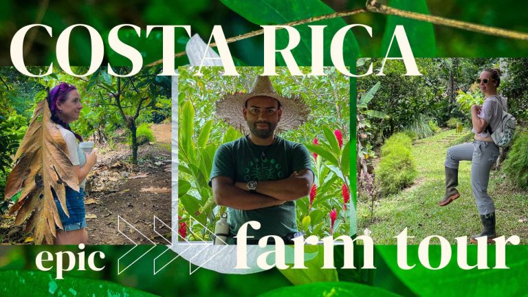 Don’t Miss this Epic Costa Rica Farm Tour!