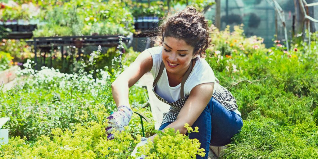 create a garden for a more eco-friendly house 