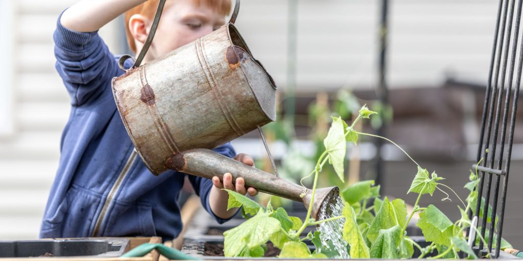 use bath water to water plants for an eco-friendly house